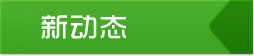 动态